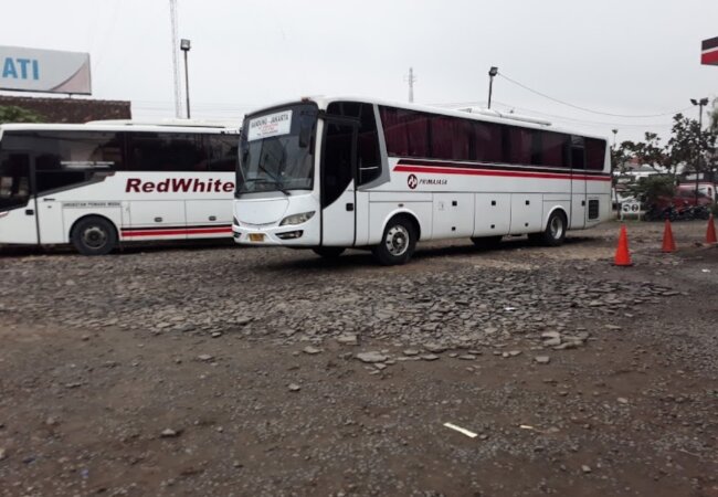 5 Bus Bandung Bekasi, Harga Tiket 42rb